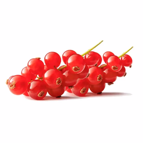 Red Currant 125g Netherlands